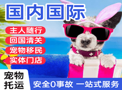 通化航空物流国际宠物托运 【国